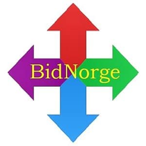 Logo original BidNorge (3)